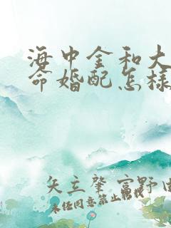 海中金和大海水命婚配怎样