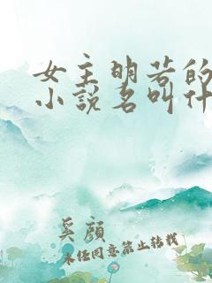 女主明若的穿越小说名叫什么