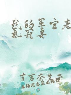 我的军官老公霸气宠妻