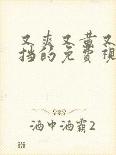 又爽又黄又无遮挡的免费视频