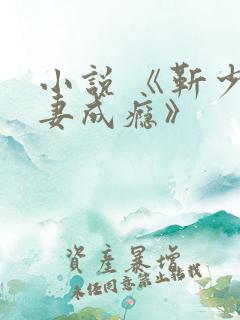 小说 《靳少宠妻成瘾》