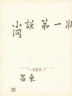 小说 第一版主网