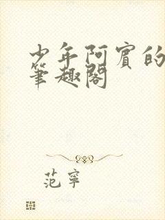 少年阿宾的故事笔趣阁