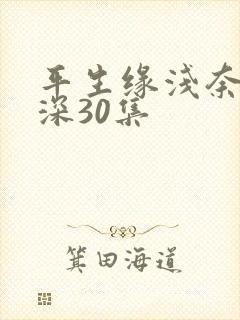 平生缘浅奈何情深30集