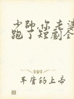 少帅,你老婆又跑了短剧全集