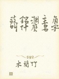 苏铭渊主角小说叫什么名字