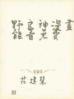 野良神漫画在那能看免费