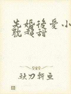 先婚后爱小说原耽超甜