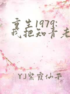 重生1979:我把知青老婆宠上天