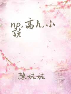 np,高h,小说