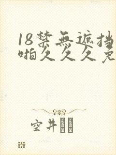 18禁无遮挡啪啪久久久免费