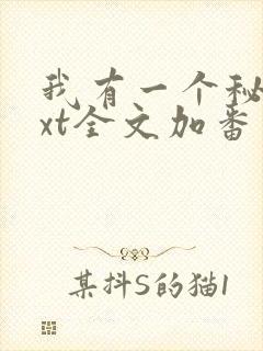我有一个秘密txt全文加番外