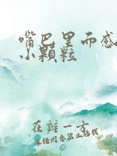 嘴巴里面感觉有小颗粒