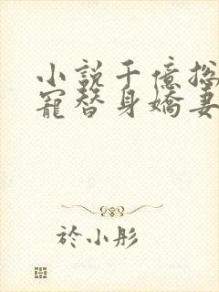 小说千亿总裁独宠替身娇妻1