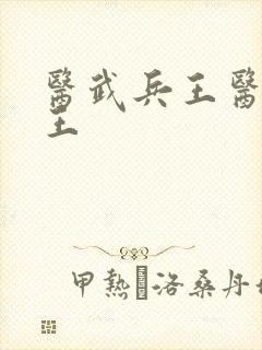 医武兵王医武兵王