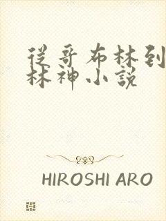 从哥布林到哥布林神小说