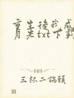 重生后我成了黑月光txt下载