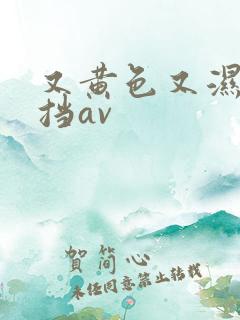 又黄色又湿无遮挡av