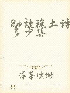 鼬被秽土转生是多少集