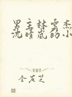 男主林云杰女主沈晴岚的小说