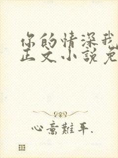 你的情深我不配正文小说免费阅读