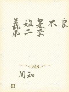 义姐是不良妈妈第二季