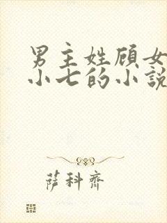 男主姓顾女主叫小七的小说