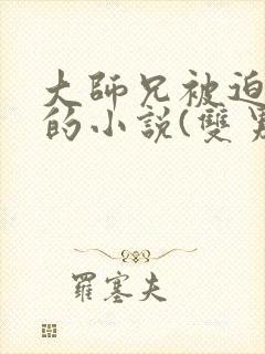 大师兄被迫承欢的小说(双男主)