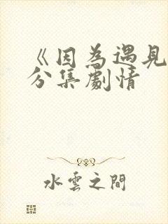 《因为遇见你》分集剧情