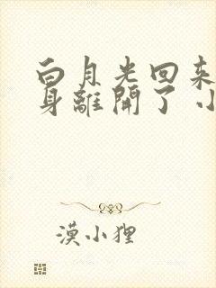 白月光回来后替身离开了 小说