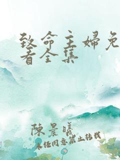 致命主妇免费观看全集