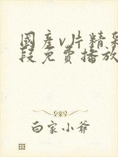 国产v片精彩片段免费播放