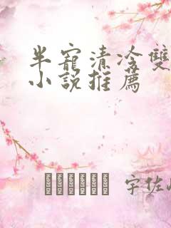 半宠清冷双男主小说推荐