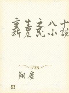 重生之八十年代新农民小说