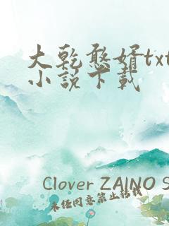 大乾憨婿txt小说下载