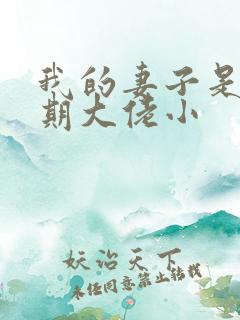 我的妻子是大乘期大佬小