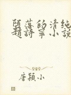 堕落的清纯校花赵诗宁小说内容