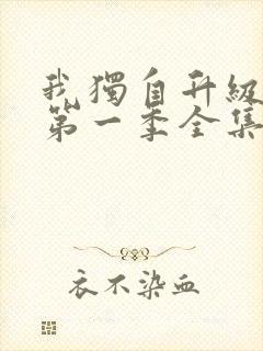 我独自升级动漫第一季全集免费观看