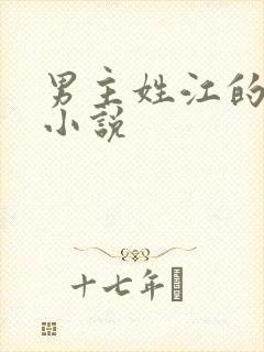 男主姓江的总裁小说