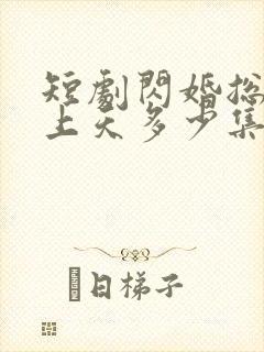 短剧闪婚总裁宠上天多少集