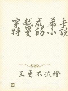 穿越成希卡利奥特曼的小说