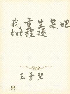 我重生是吧程逐txt程逐