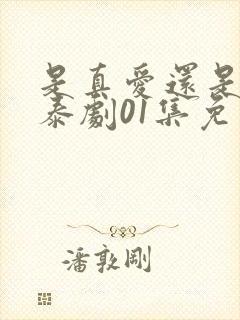 是真爱还是旧爱泰剧01集免费观看