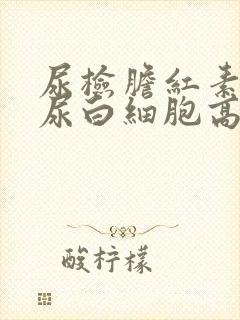 尿检胆红素高和尿白细胞高是怎么回事