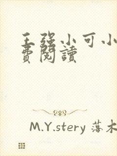 王强小可小说免费阅读