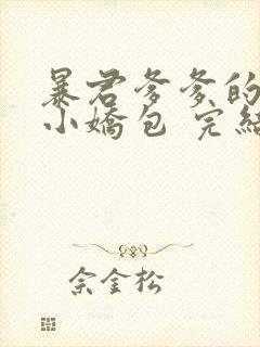 暴君爹爹的团宠小娇包 完结版