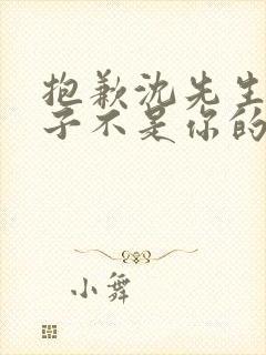 抱歉沈先生,孩子不是你的 短剧