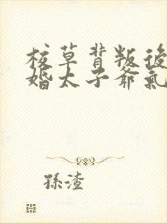 校草背叛后我闪婚太子爷气疯他苏念笙最新