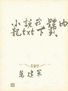 小说我体内有条龙txt下载