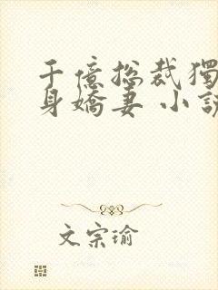 千亿总裁独宠替身娇妻 小说